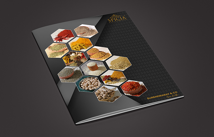 Brochure Design Company Mumbai - Creaa Design