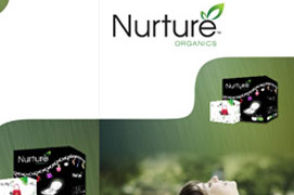 Brochure Design Company Mumbai - Creaa Design